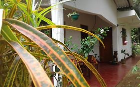 Winstar Homestay