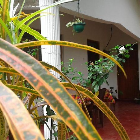 Winstar Homestay Sigiriya Buitenkant foto