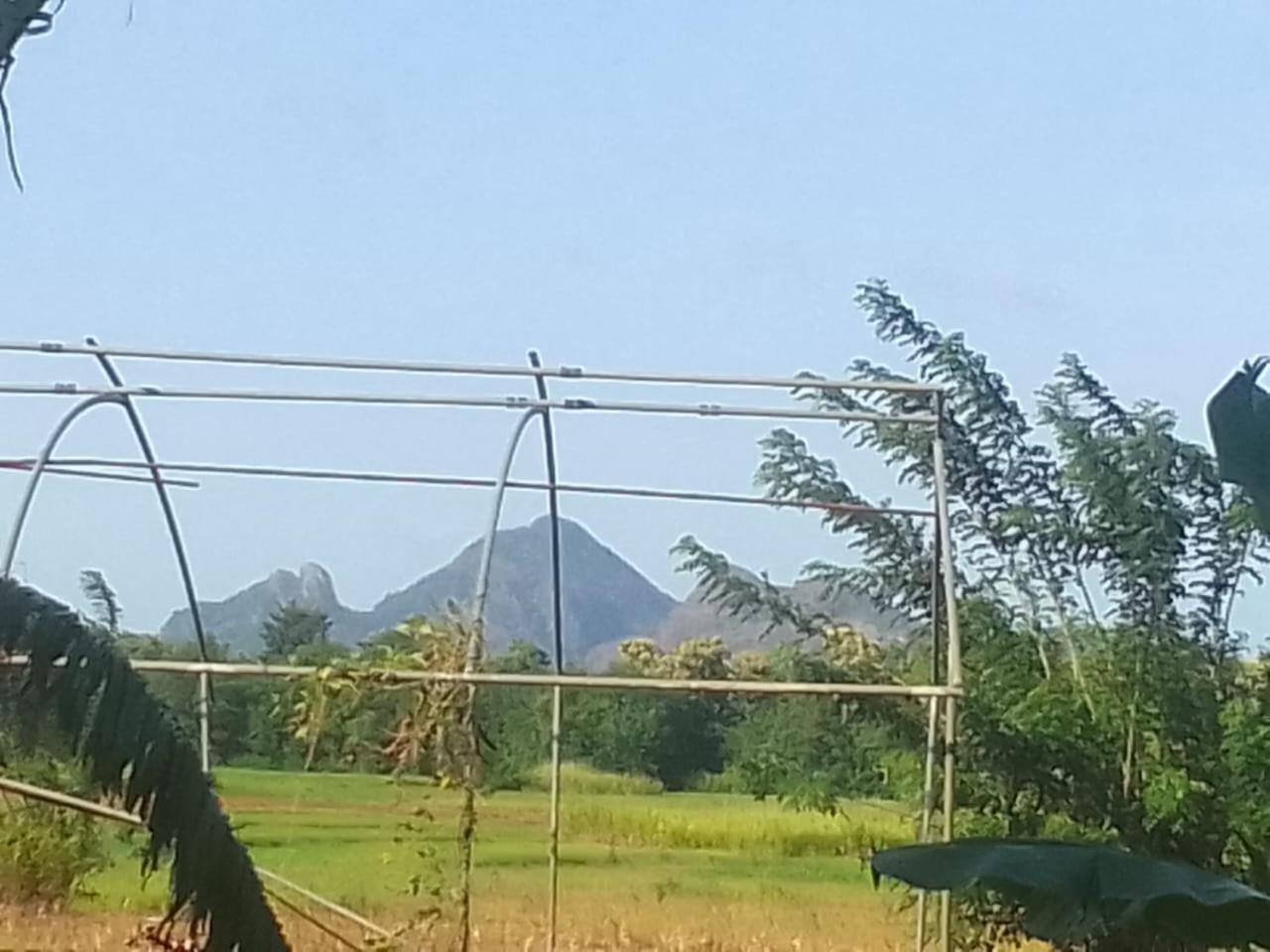 Winstar Homestay Sigiriya Buitenkant foto